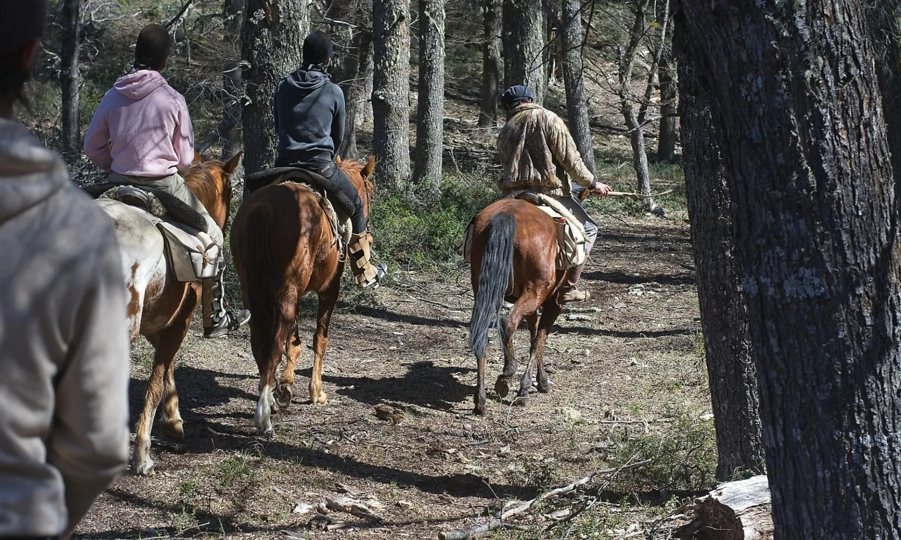 Paisaje de montaña 6