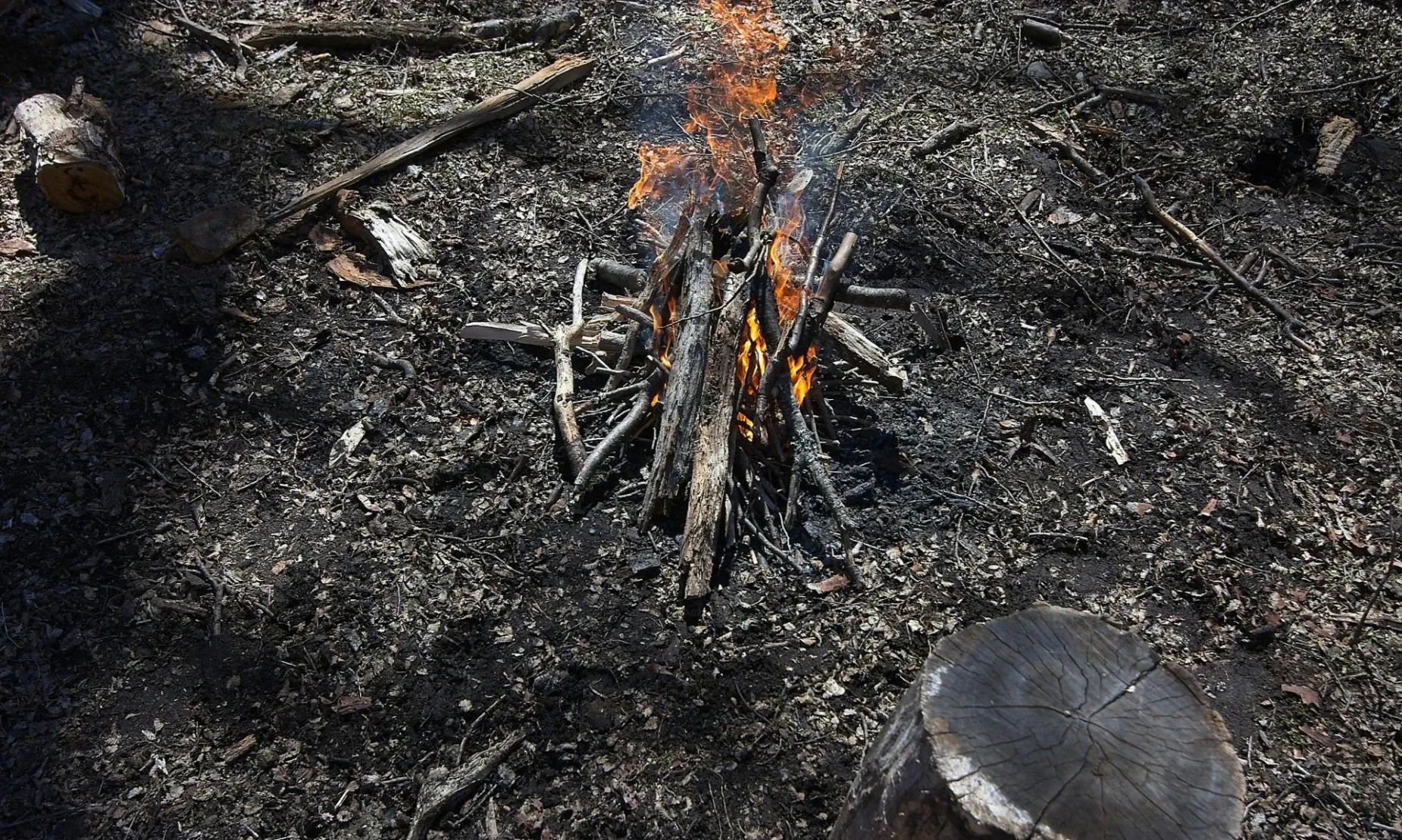 Paisaje de montaña 7