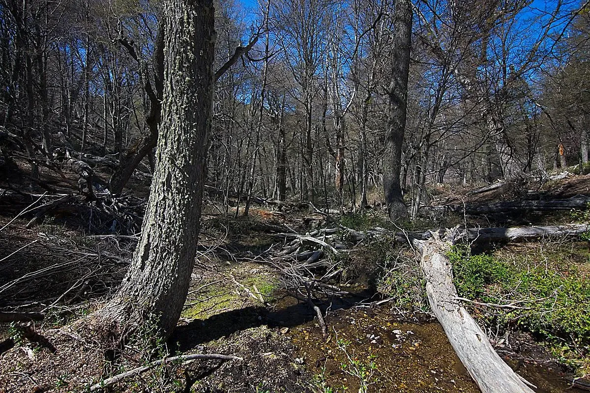 Paisaje de montaña 9