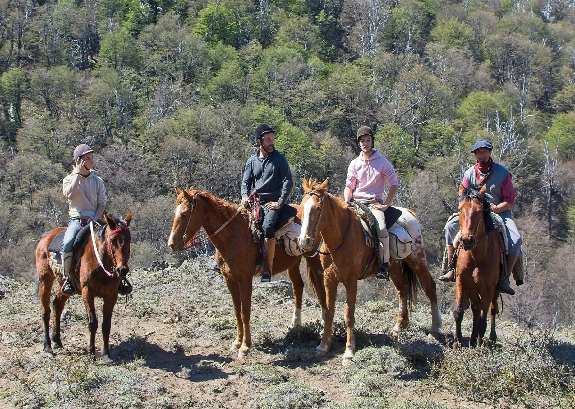 Paisaje de montaña 11