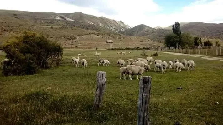 Paisaje de montaña 19