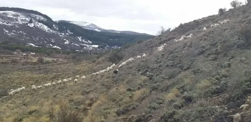 Paisaje de montaña 21