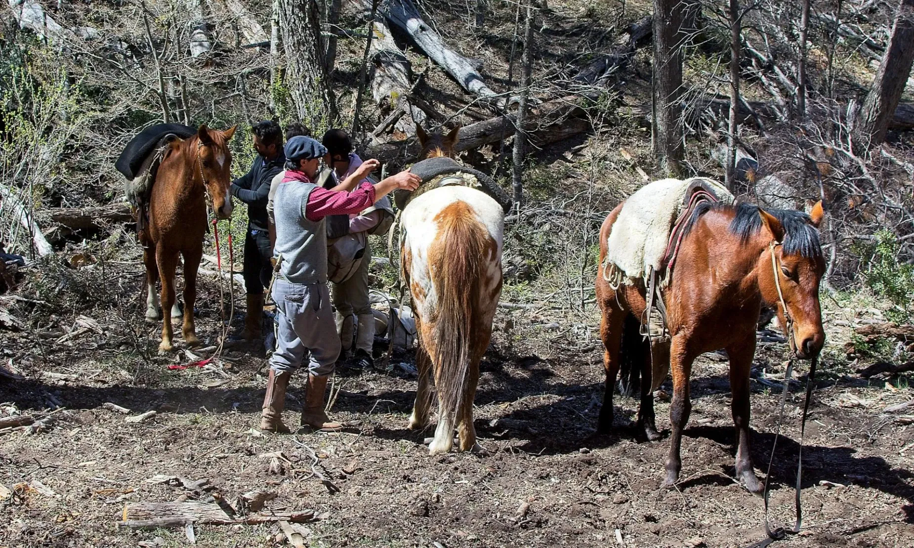Paisaje de montaña 1