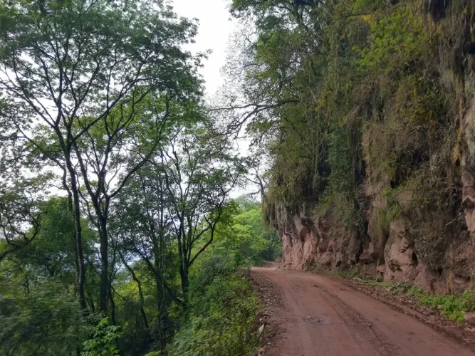 Paisaje de montaña 10