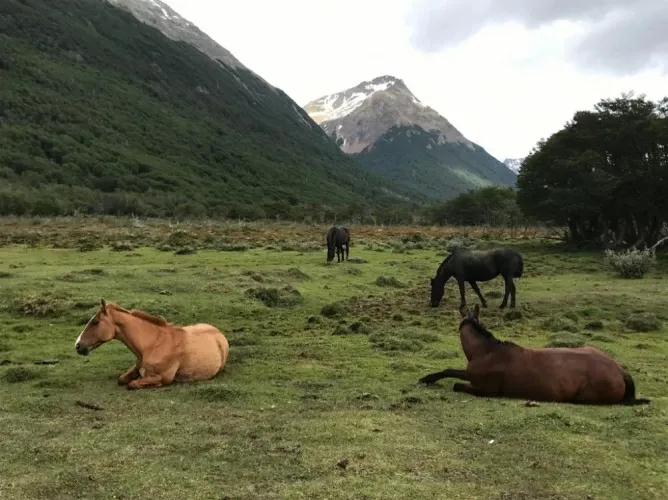 Paisaje de montaña 6