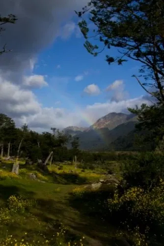 Paisaje de montaña 17