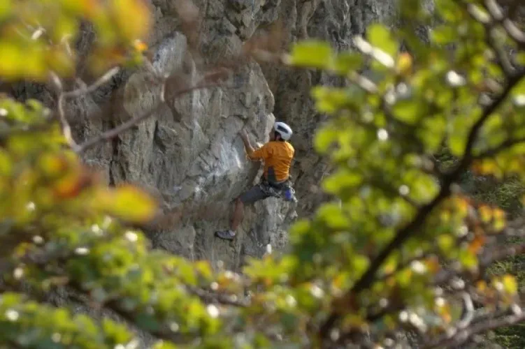 Paisaje de montaña 3