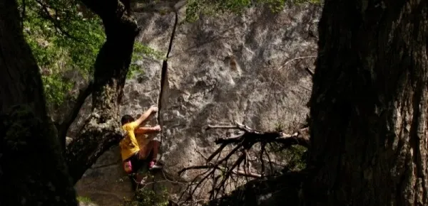 Paisaje de montaña 7