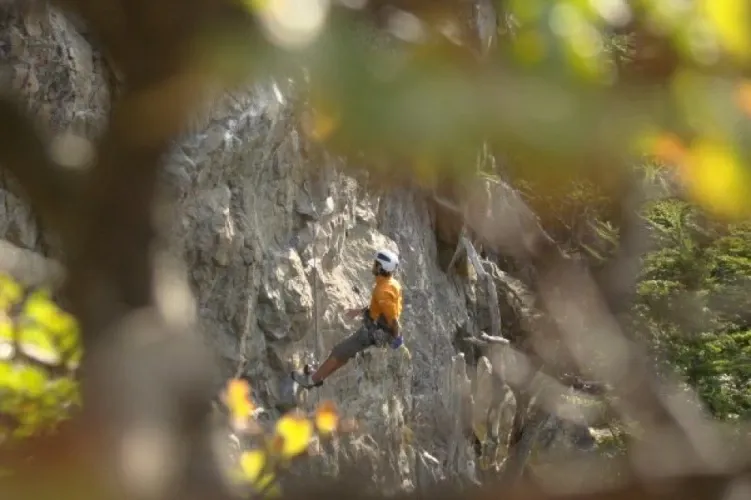 Paisaje de montaña 9