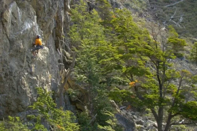 Paisaje de montaña 14