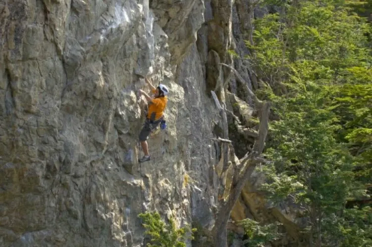 Paisaje de montaña 15