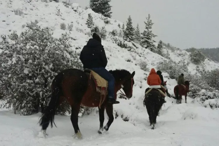 Paisaje de montaña 4