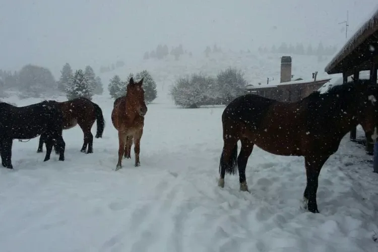 Paisaje de montaña 5