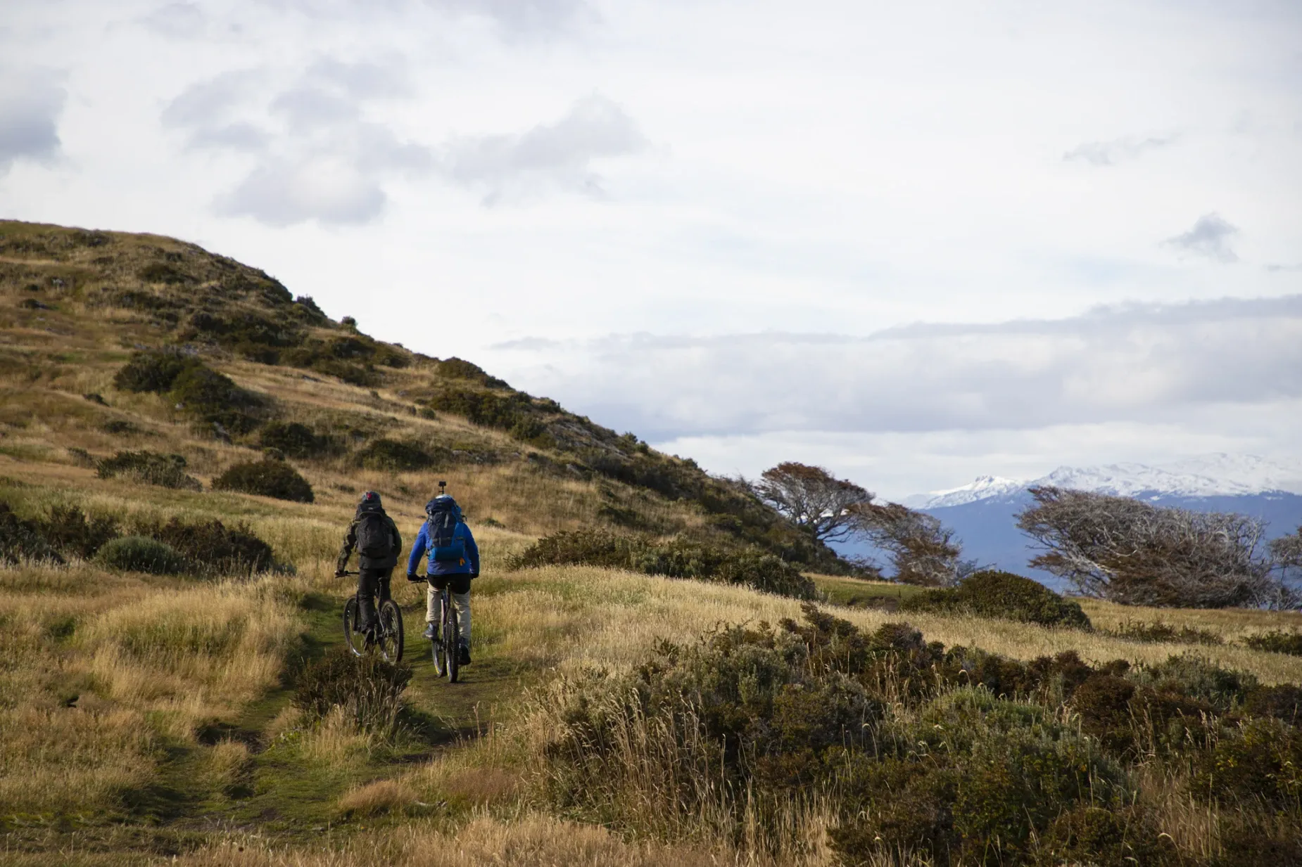 Paisaje de montaña 11