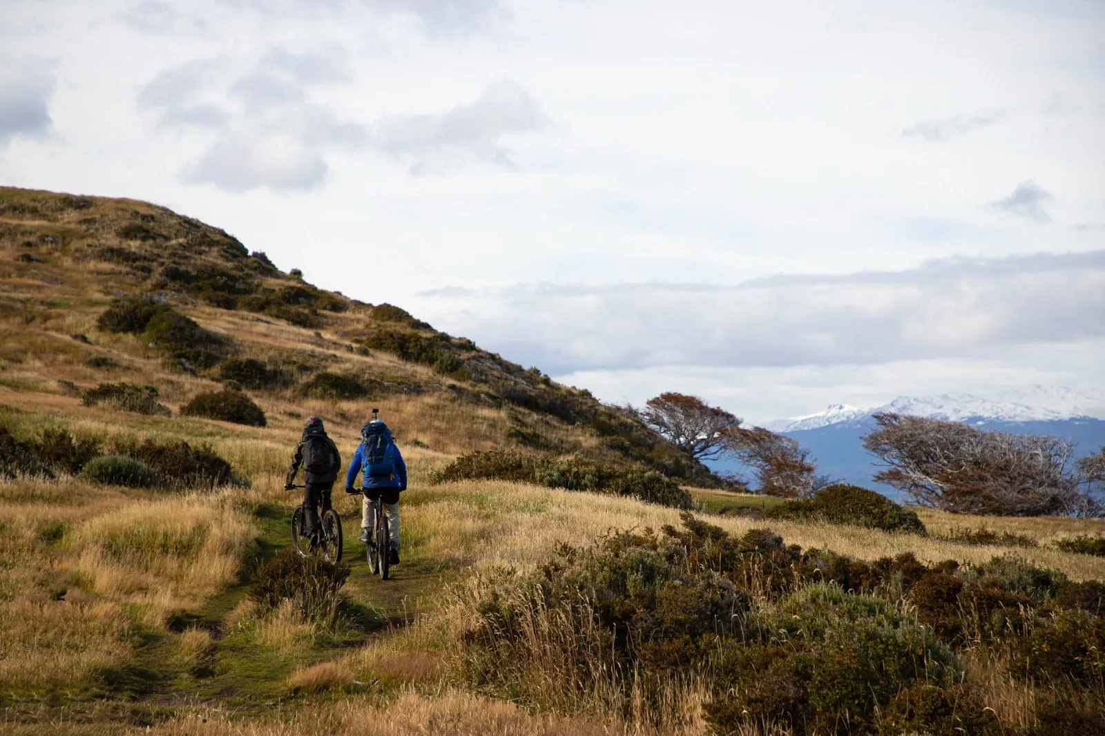 Paisaje de montaña 1