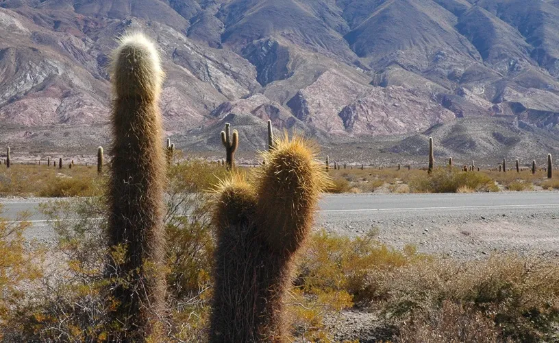 Paisaje de montaña 9