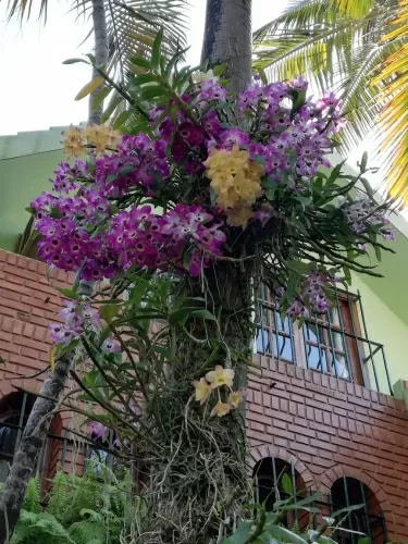 Paisaje de montaña 5