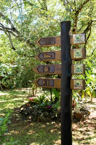 Paisaje de montaña 13