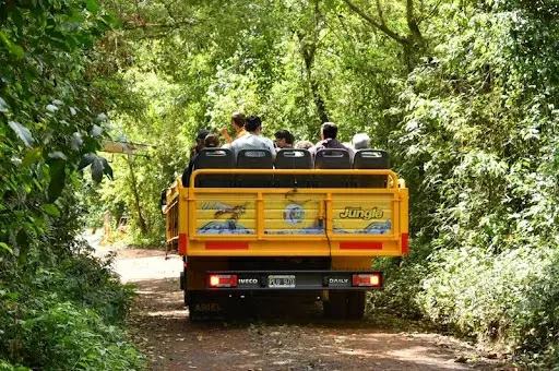 Paisaje de montaña 8