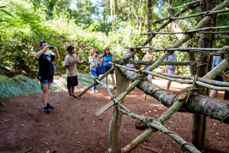 Paisaje de montaña 5