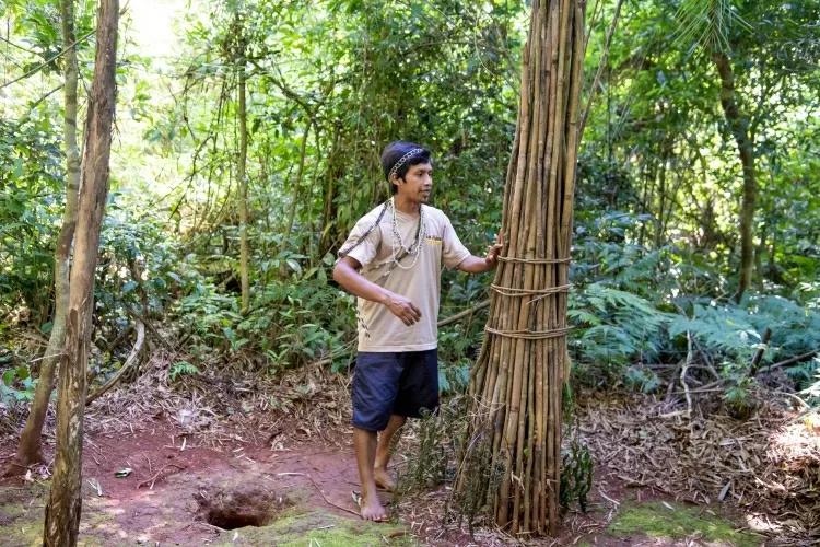 Paisaje de montaña 8