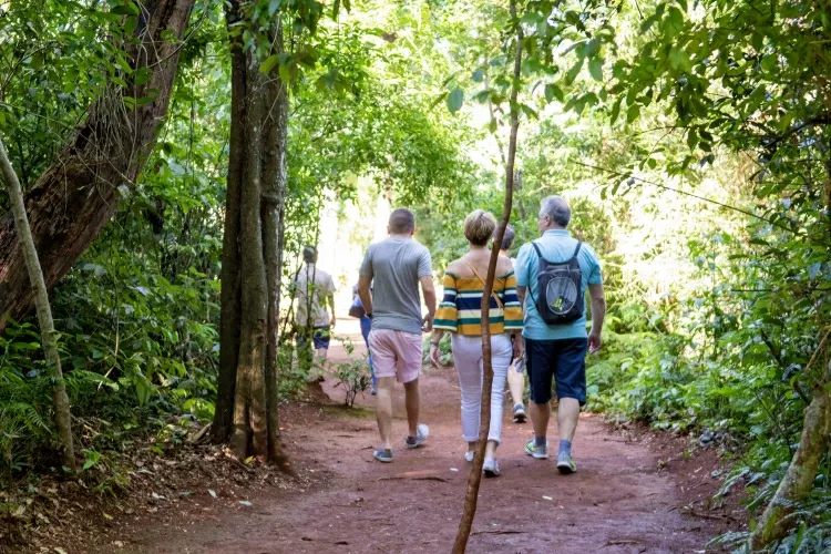 Paisaje de montaña 14