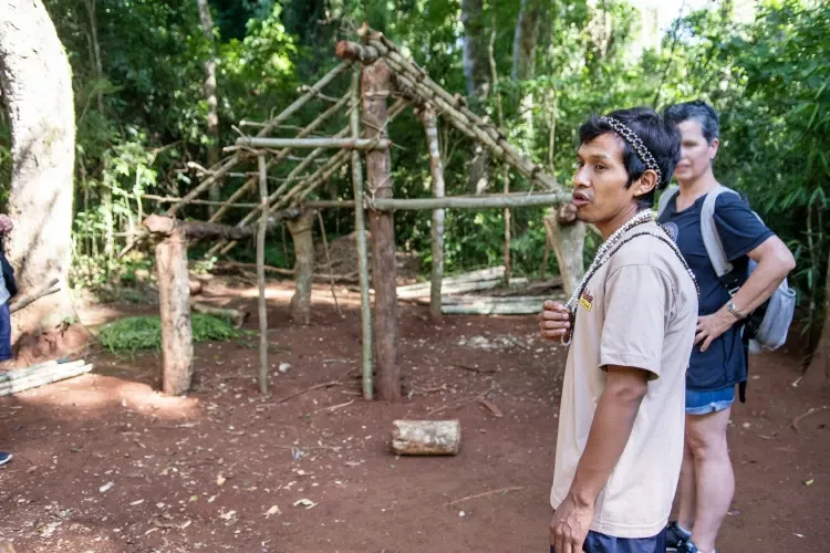 Paisaje de montaña 15