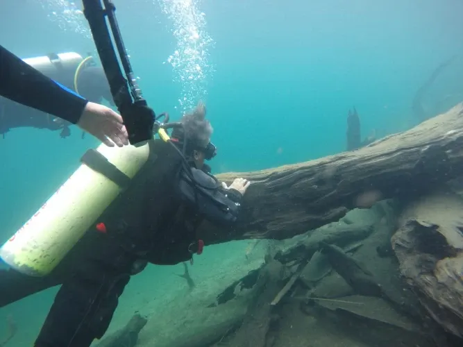 Paisaje de montaña 12