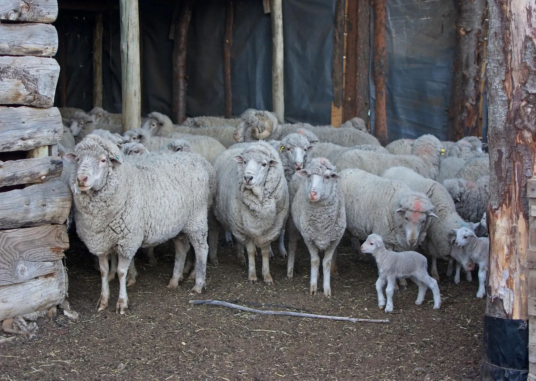 Paisaje de montaña 5