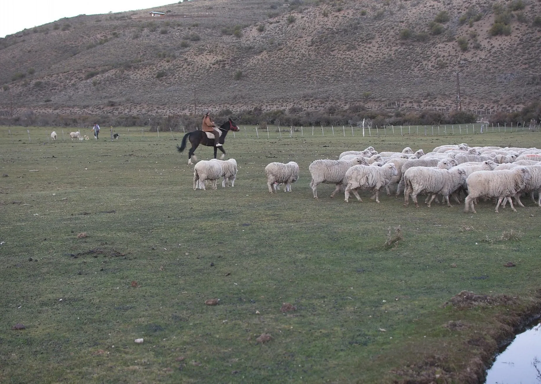 Paisaje de montaña 6