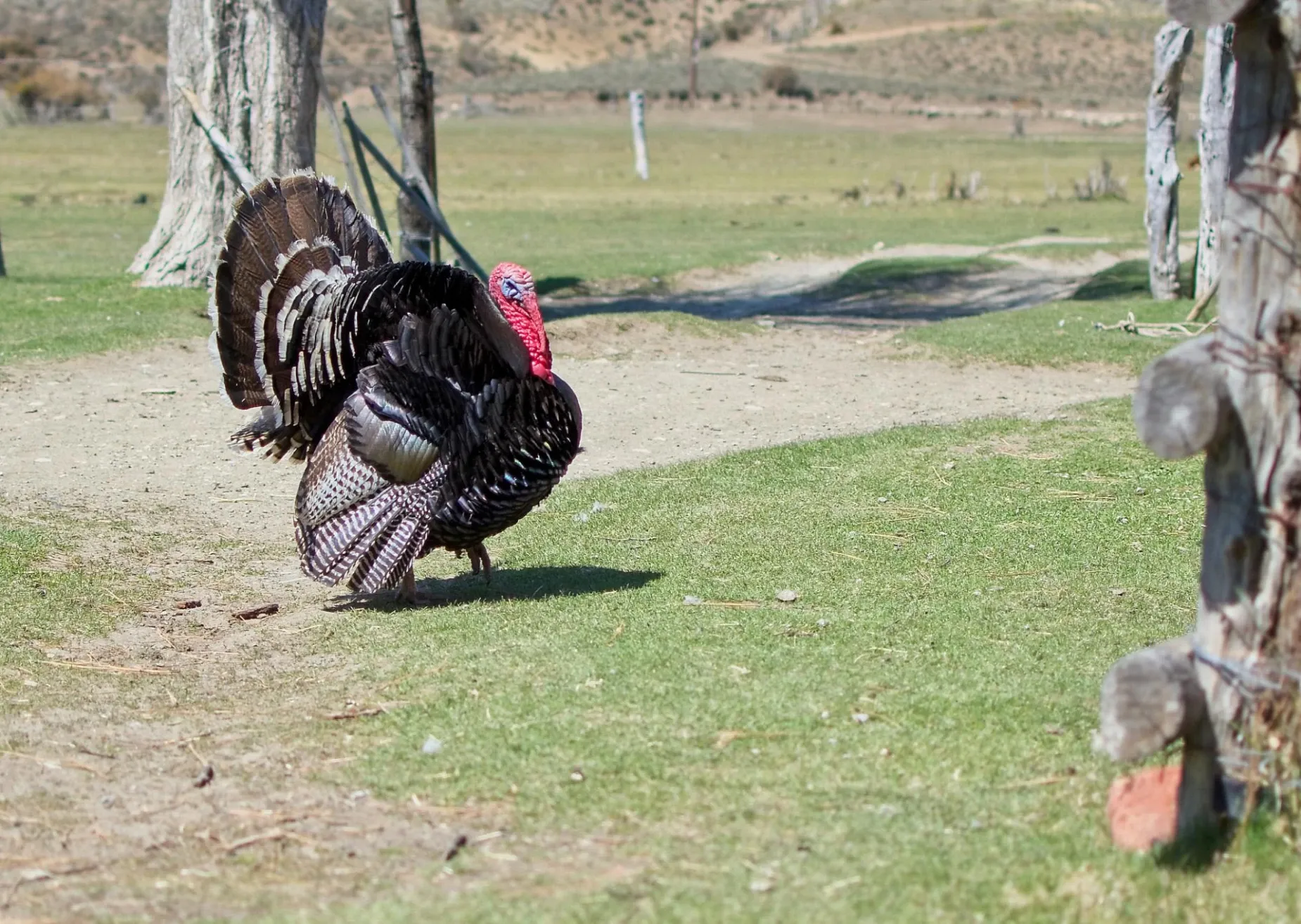 Paisaje de montaña 7