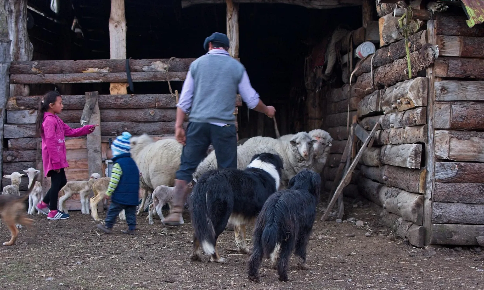 Paisaje de montaña 8