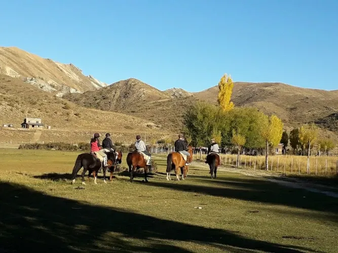 Paisaje de montaña 16