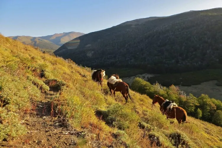 Paisaje de montaña 18