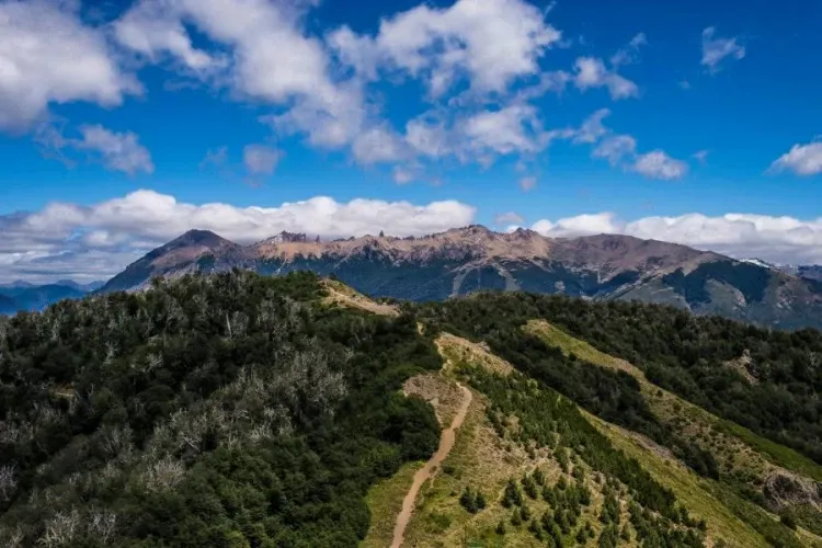 Paisaje de montaña 4