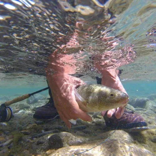 Paisaje de montaña 5