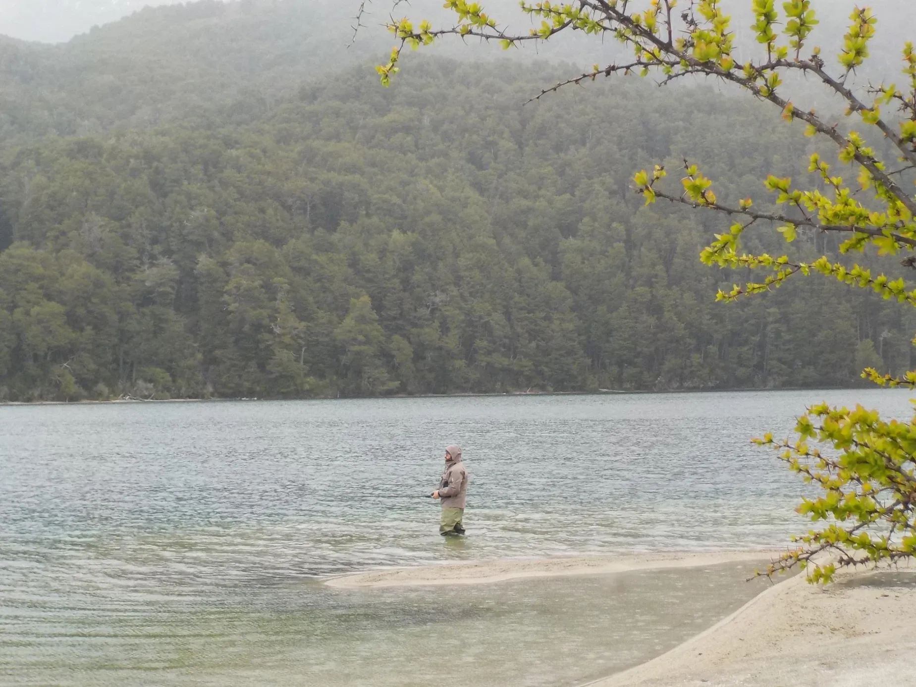 Paisaje de montaña 7