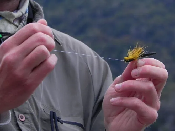 Paisaje de montaña 7