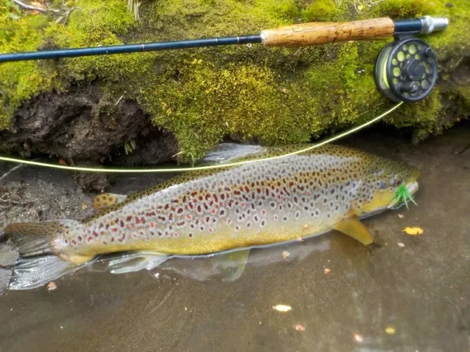 Paisaje de montaña 10