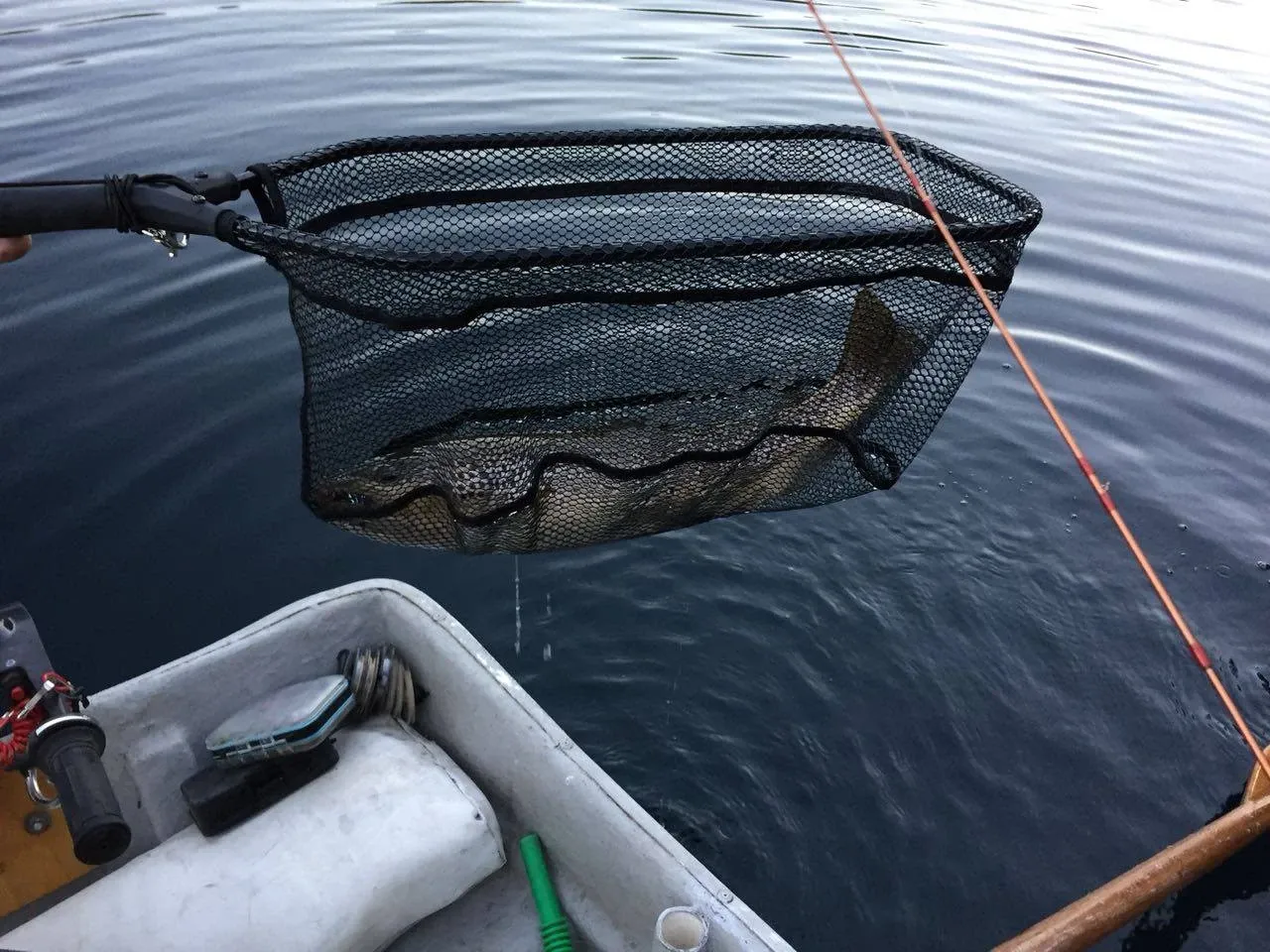 Paisaje de montaña 12