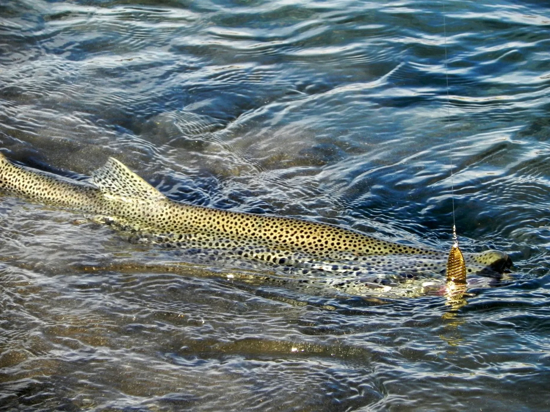 Paisaje de montaña 17