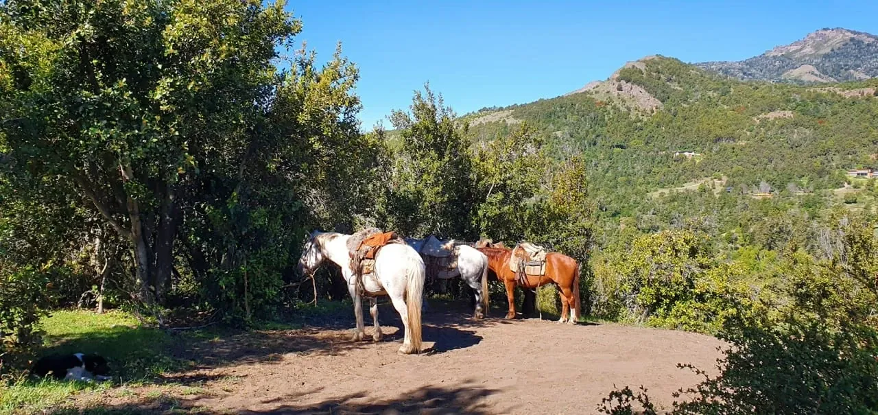 Paisaje de montaña 5