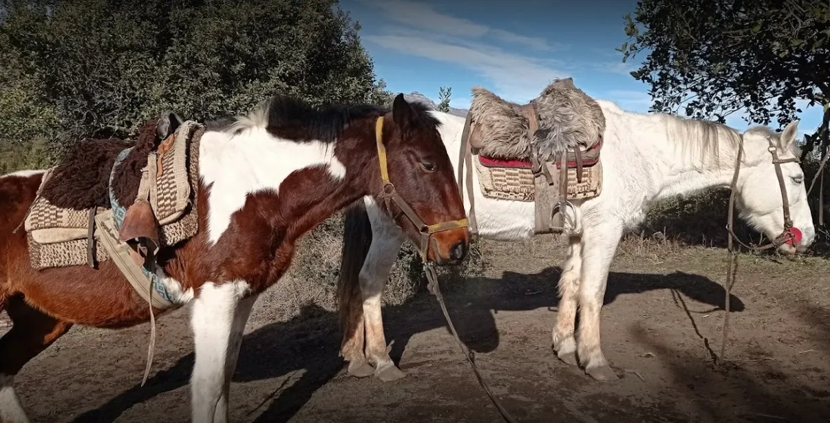 Paisaje de montaña 6