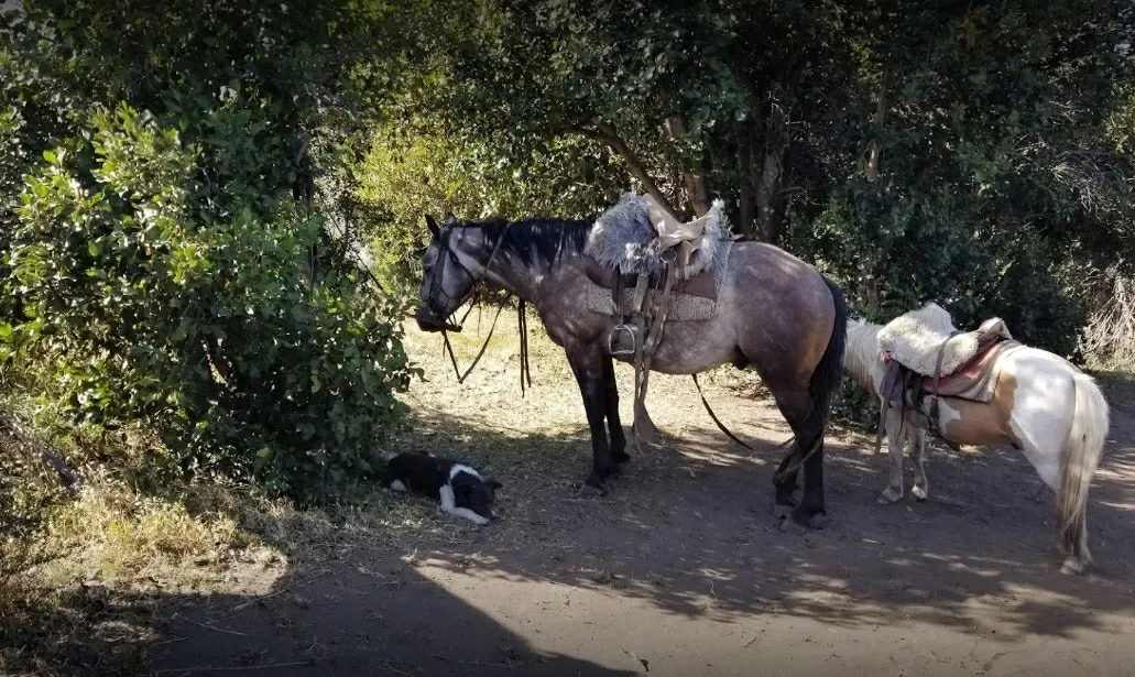 Paisaje de montaña 9
