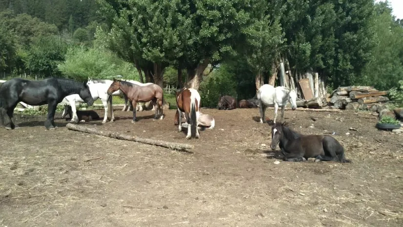 Paisaje de montaña 10