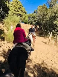 Paisaje de montaña 13