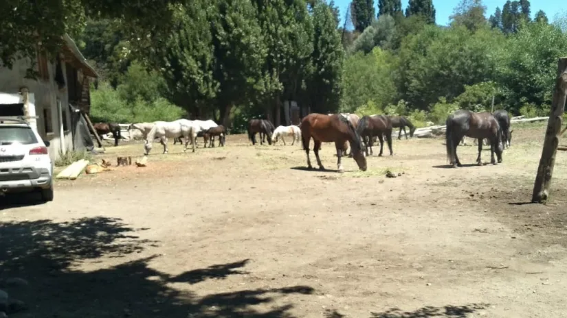 Paisaje de montaña 17