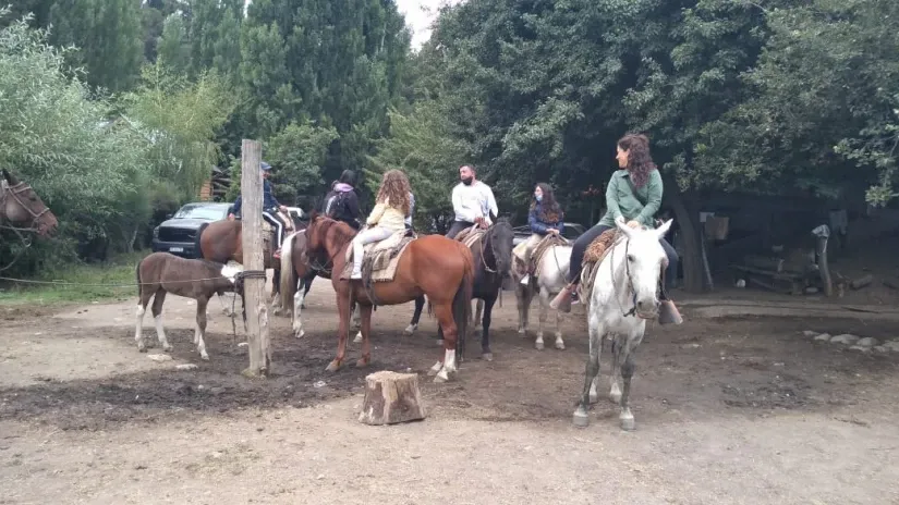 Paisaje de montaña 18