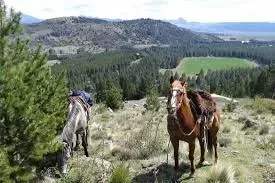 Paisaje de montaña 22