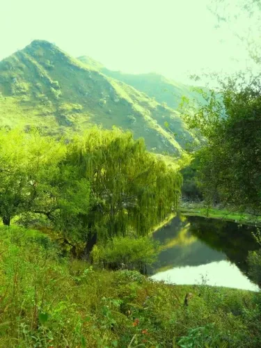 Paisaje de montaña 6